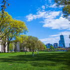 Wide view of MIT’s Killian court on a bright, sunny spring day with several people on the grass